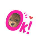 ときたむぎ（個別スタンプ：1）