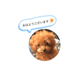 ときたむぎ（個別スタンプ：3）