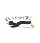 ペンギンConte（個別スタンプ：4）