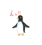 ペンギンConte（個別スタンプ：8）