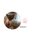 ぽんぴぃ（個別スタンプ：30）