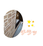ぽんぴぃ（個別スタンプ：32）