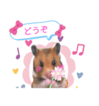きままなリアルハムスター ひまの日常（個別スタンプ：12）