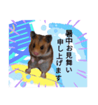 きままなリアルハムスター ひまの日常（個別スタンプ：22）