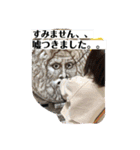 アラフォーズ♡2♡（個別スタンプ：6）