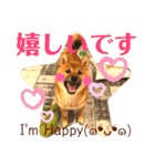 柴犬  豆之進 日常STAMP★【関西弁】其の二（個別スタンプ：5）