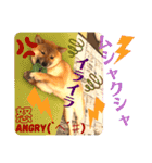 柴犬  豆之進 日常STAMP★【関西弁】其の二（個別スタンプ：9）