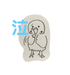 モノクロインコ気まぐれスタンプ。喜怒哀楽（個別スタンプ：9）