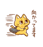 エアネコさん（個別スタンプ：5）