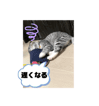 蘭丸まる 5（個別スタンプ：8）