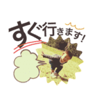 レオの毎日②（個別スタンプ：7）