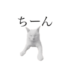 ranranrain2（個別スタンプ：6）