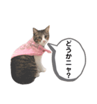 ranranrain2（個別スタンプ：14）