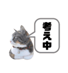 ranranrain2（個別スタンプ：15）