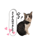 ranranrain2（個別スタンプ：16）
