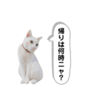 ranranrain2（個別スタンプ：18）