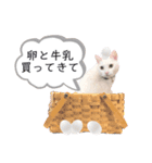 ranranrain2（個別スタンプ：19）