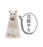 ranranrain2（個別スタンプ：38）