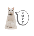 ranranrain2（個別スタンプ：40）
