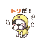 フレンチブルドッグのぽんず（個別スタンプ：6）