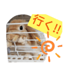 うーさー日和（個別スタンプ：2）
