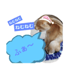 うーさー日和（個別スタンプ：6）