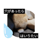 うーさー日和（個別スタンプ：12）