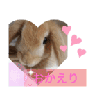 うーさー日和（個別スタンプ：13）
