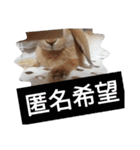 うーさー日和（個別スタンプ：14）
