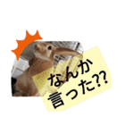 うーさー日和（個別スタンプ：16）
