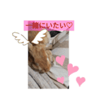 うーさー日和（個別スタンプ：22）