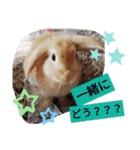 うーさー日和（個別スタンプ：30）