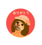 ねこのミーさんといぬのマーさん 2（個別スタンプ：1）
