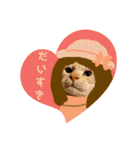 ねこのミーさんといぬのマーさん 2（個別スタンプ：4）