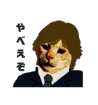 ねこのミーさんといぬのマーさん 2（個別スタンプ：9）