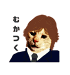 ねこのミーさんといぬのマーさん 2（個別スタンプ：10）