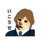 ねこのミーさんといぬのマーさん 2（個別スタンプ：11）