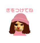 ねこのミーさんといぬのマーさん 2（個別スタンプ：19）