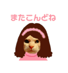 ねこのミーさんといぬのマーさん 2（個別スタンプ：20）
