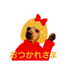 ねこのミーさんといぬのマーさん 2（個別スタンプ：21）
