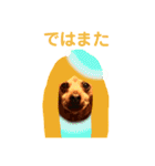 ねこのミーさんといぬのマーさん 2（個別スタンプ：38）