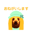 ねこのミーさんといぬのマーさん 2（個別スタンプ：39）
