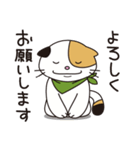 ねこやん vol.1（個別スタンプ：5）