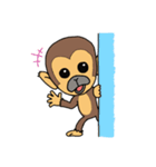 リスザル2（個別スタンプ：1）