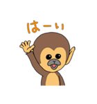 リスザル2（個別スタンプ：15）