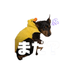 わんこ日記①（個別スタンプ：7）