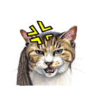 犬猫画スタンプ（個別スタンプ：1）