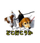 犬猫画スタンプ（個別スタンプ：2）