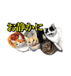 犬猫画スタンプ（個別スタンプ：4）