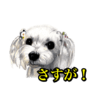 犬猫画スタンプ（個別スタンプ：8）